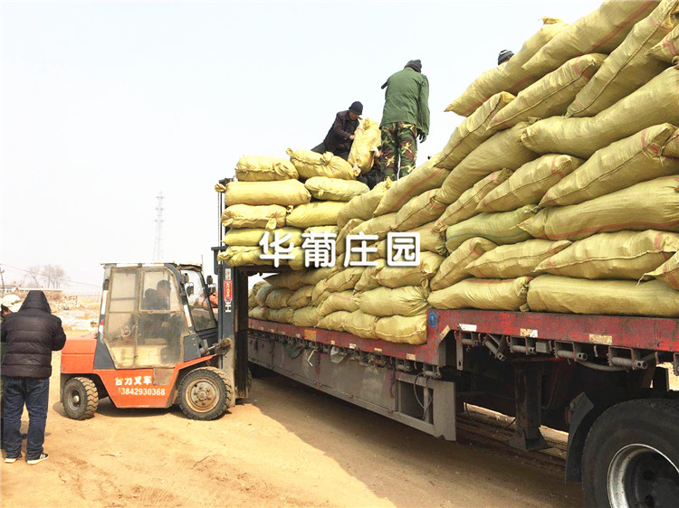 為什么說三集一體除濕熱泵的新風(fēng)功能很具優(yōu)勢