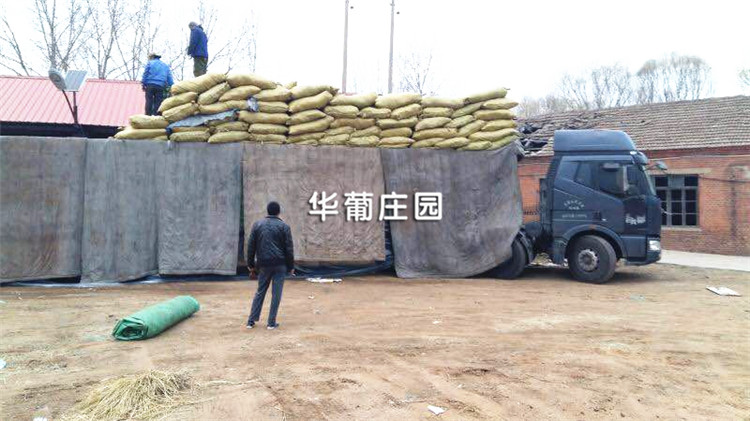 游泳池安裝合適的泳池過濾設備的重要性